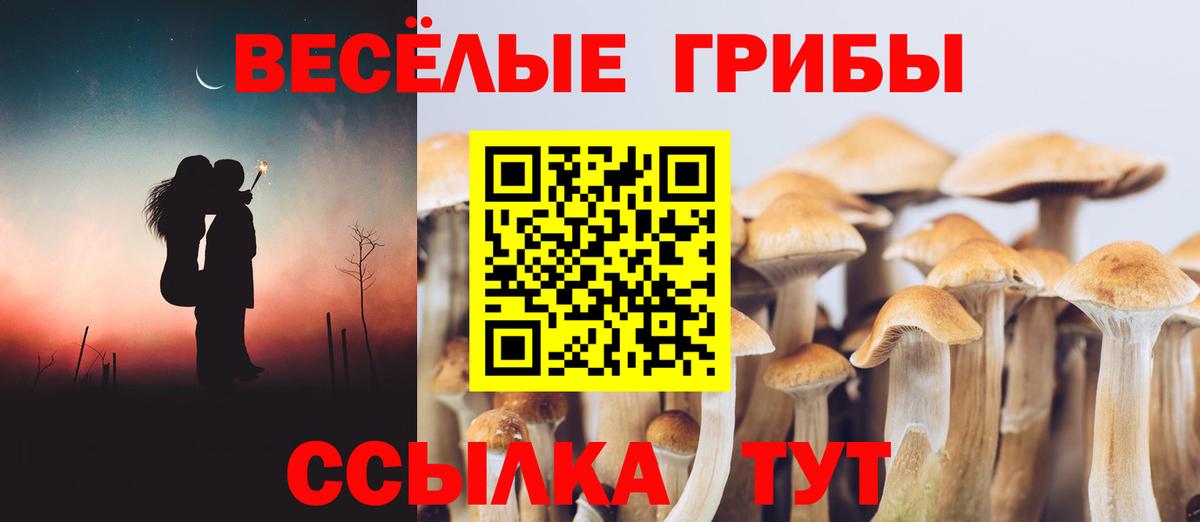 купить наркотик  Вход с VPN  Лысьва  Псилоцибиновые грибы Cubensis 